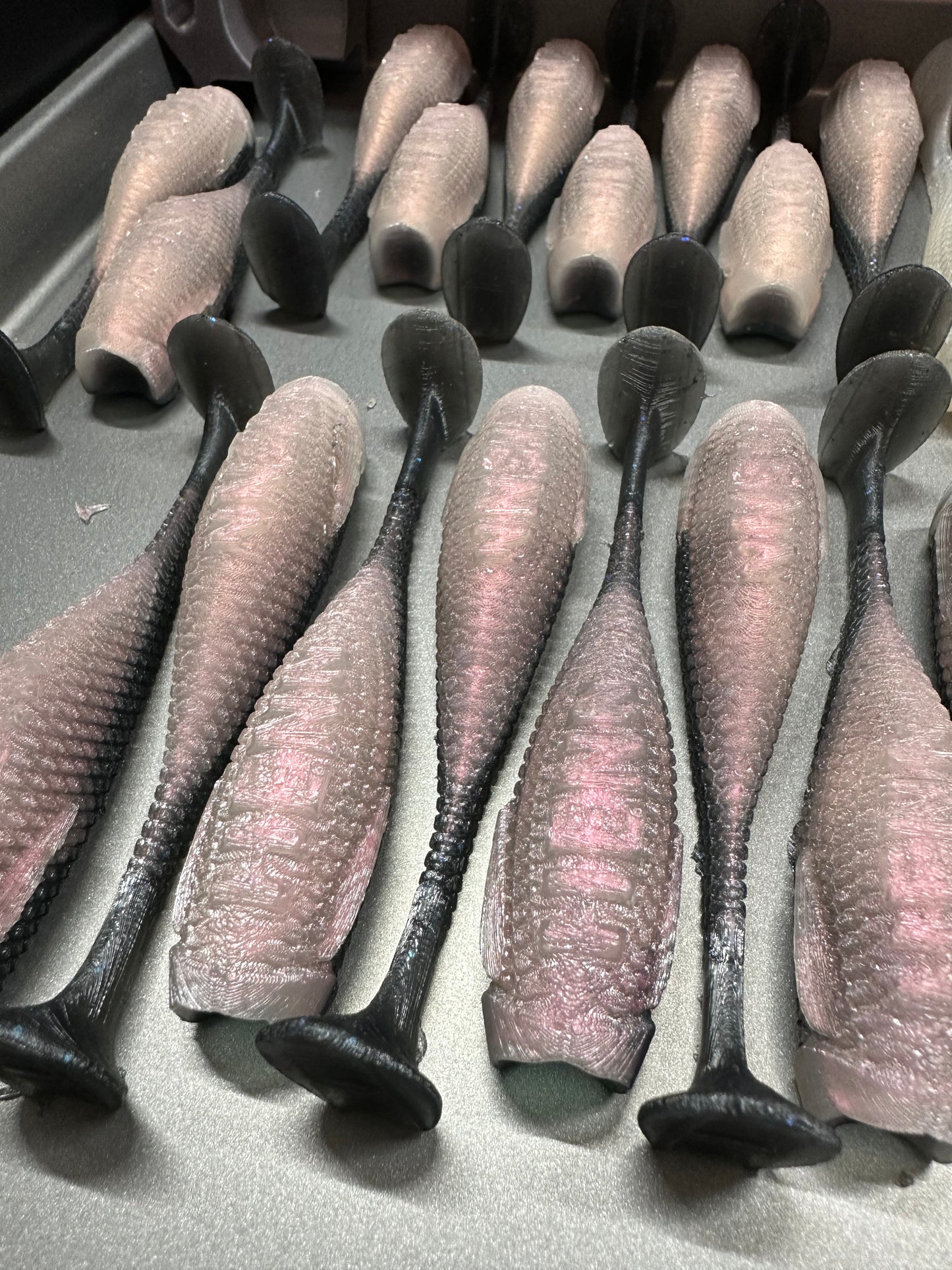 Quattro Proto (2 pack)