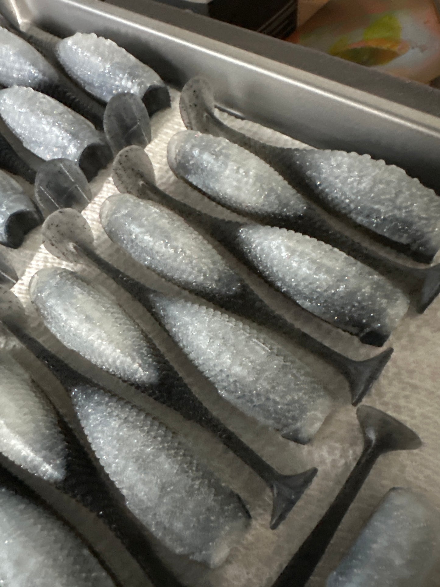 Quattro Proto (2 pack)